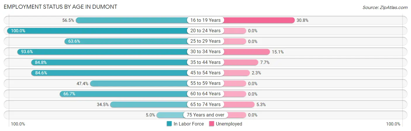 Employment Status by Age in Dumont