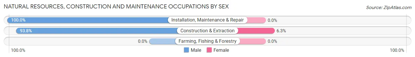 Natural Resources, Construction and Maintenance Occupations by Sex in Dumont