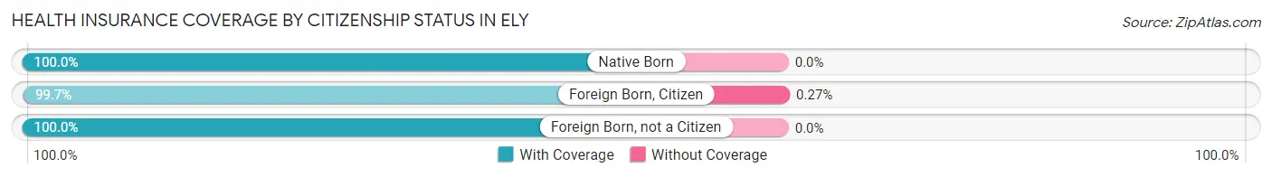 Health Insurance Coverage by Citizenship Status in Ely