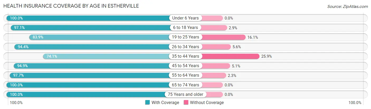 Health Insurance Coverage by Age in Estherville
