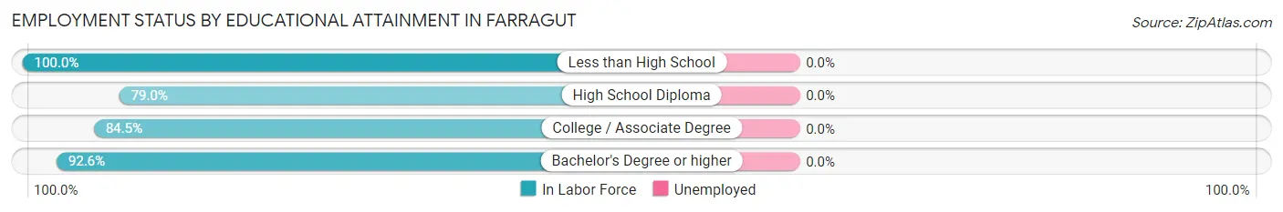 Employment Status by Educational Attainment in Farragut