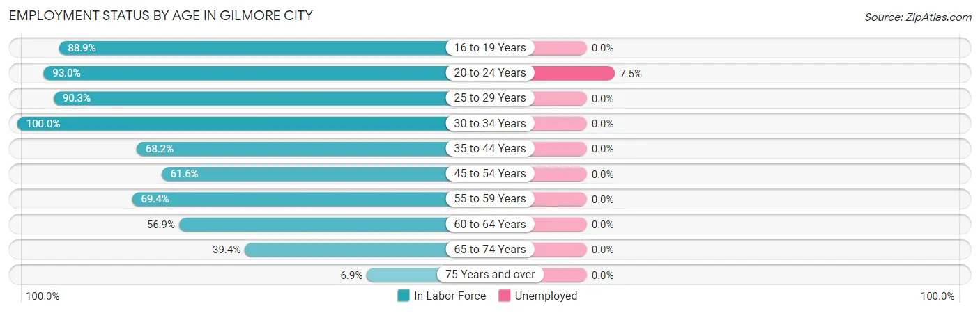 Employment Status by Age in Gilmore City