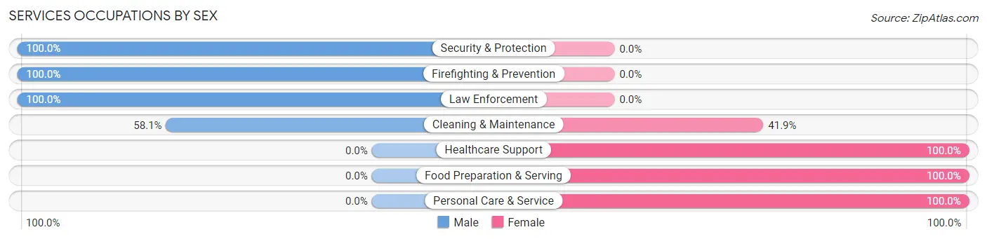 Services Occupations by Sex in Glidden