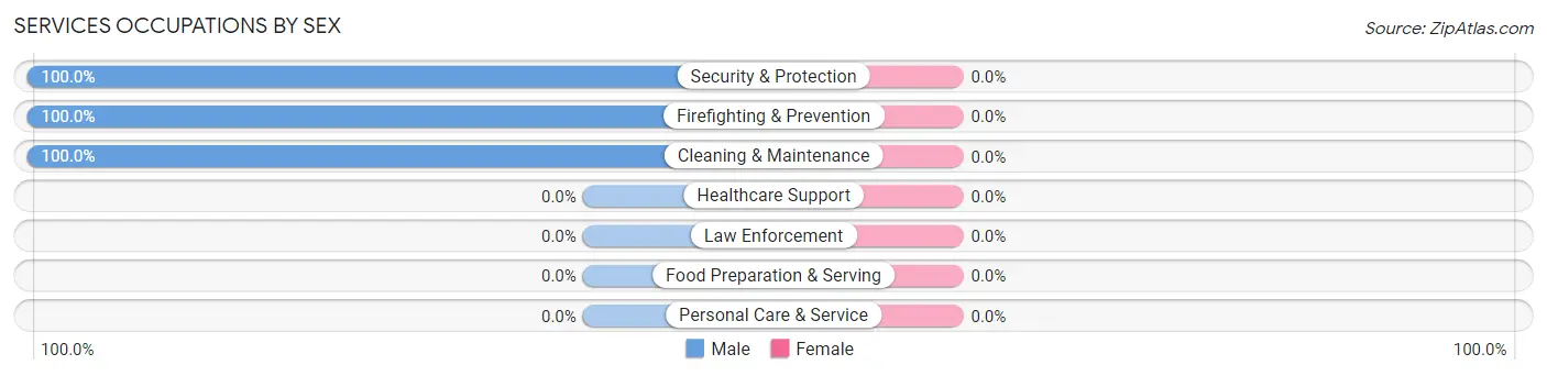 Services Occupations by Sex in Gray
