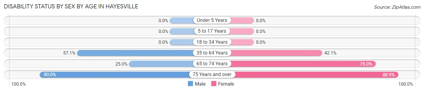 Disability Status by Sex by Age in Hayesville
