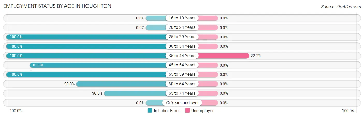 Employment Status by Age in Houghton