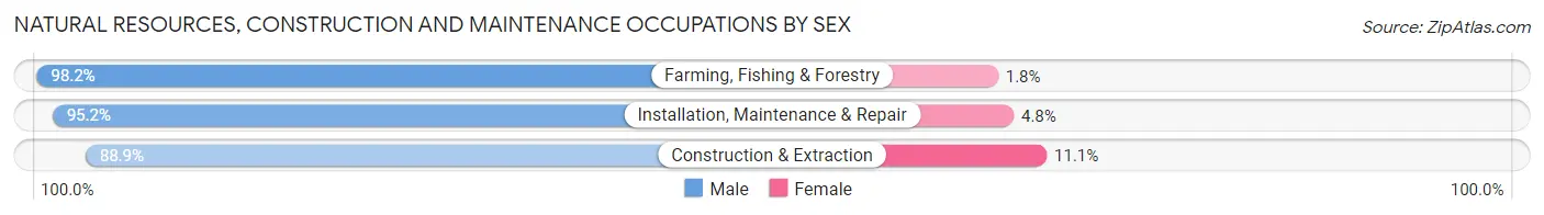 Natural Resources, Construction and Maintenance Occupations by Sex in Iowa City