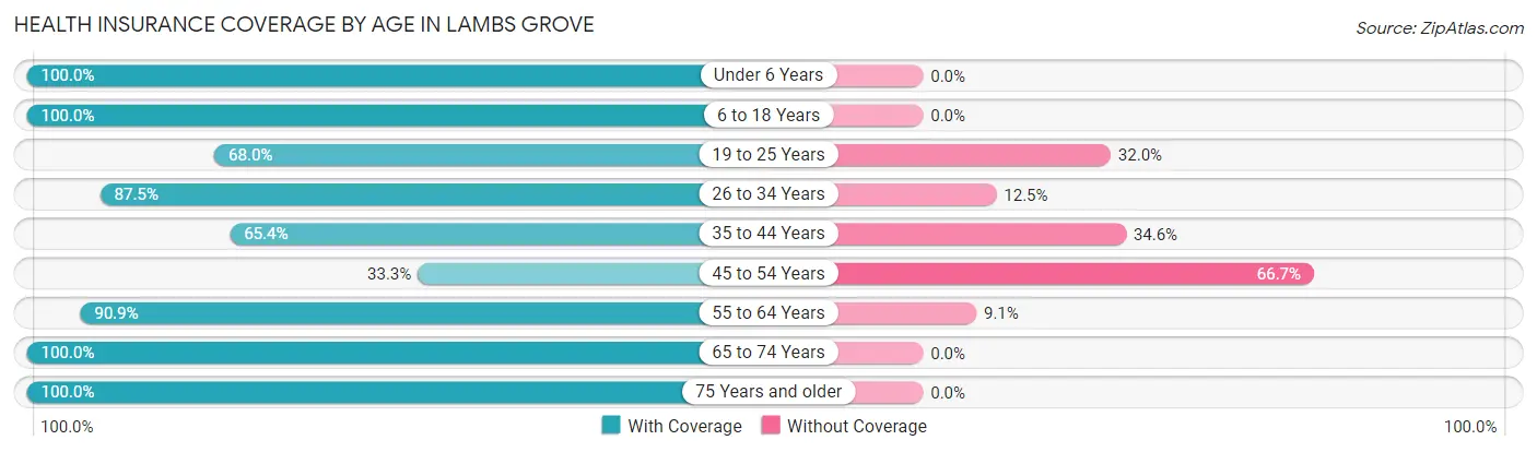 Health Insurance Coverage by Age in Lambs Grove