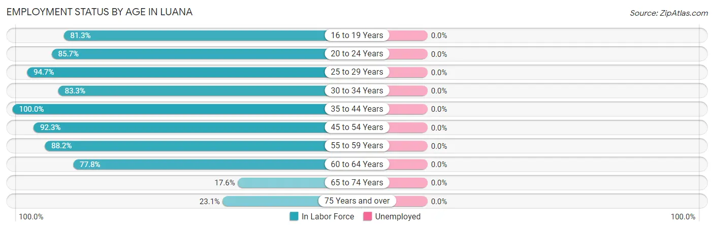 Employment Status by Age in Luana