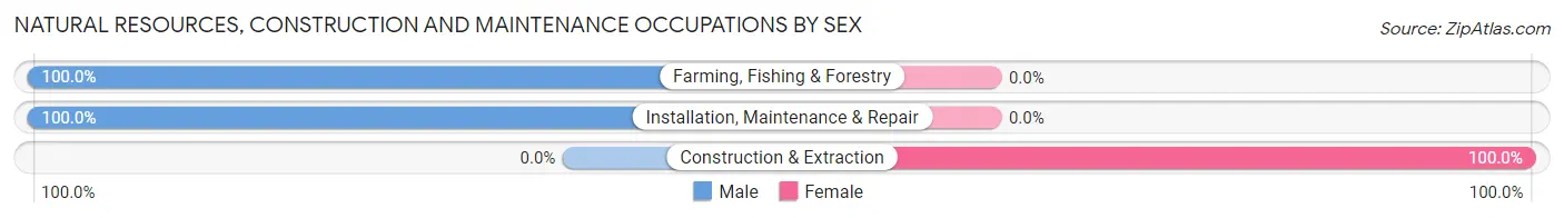 Natural Resources, Construction and Maintenance Occupations by Sex in Lytton