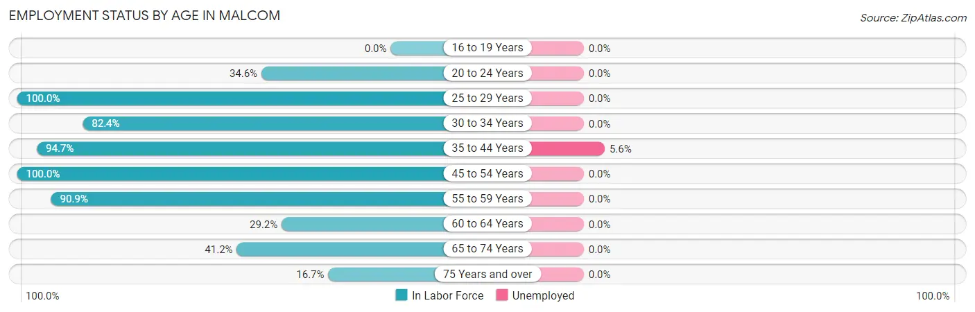 Employment Status by Age in Malcom