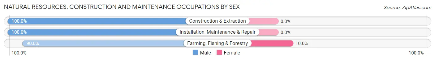 Natural Resources, Construction and Maintenance Occupations by Sex in Malcom