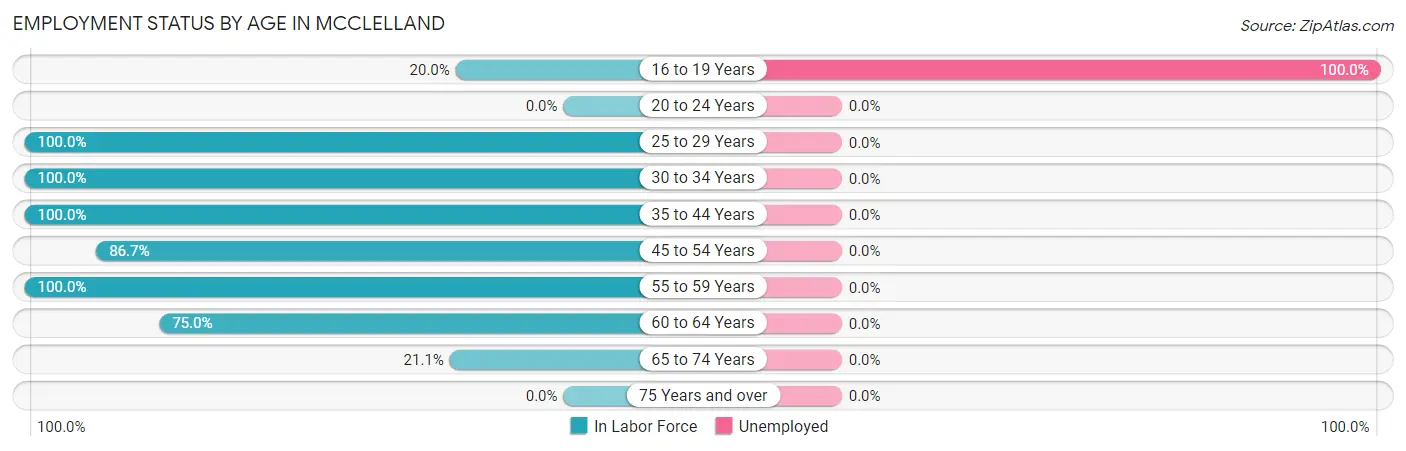 Employment Status by Age in McClelland
