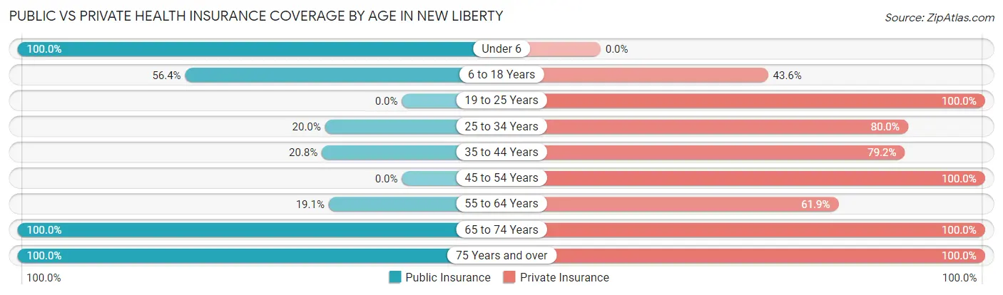 Public vs Private Health Insurance Coverage by Age in New Liberty