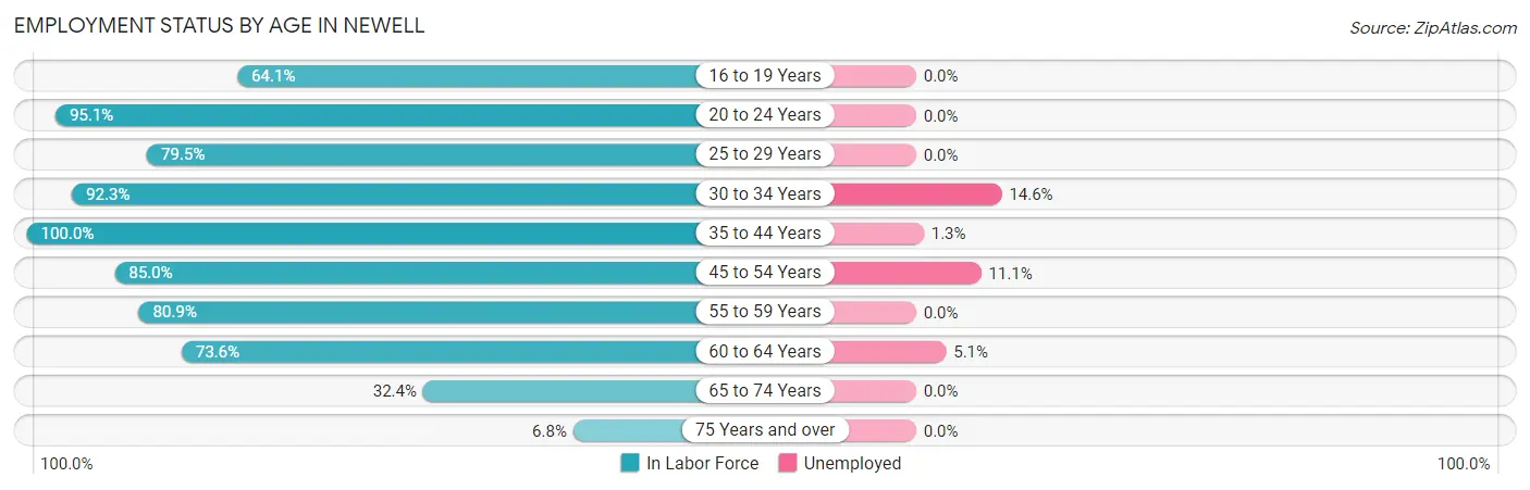 Employment Status by Age in Newell