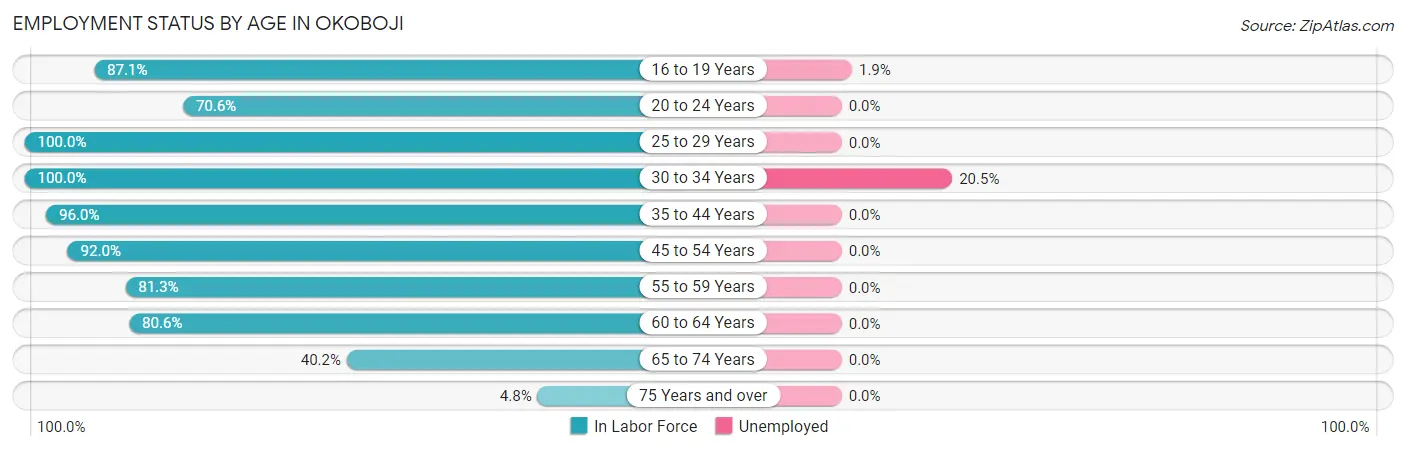 Employment Status by Age in Okoboji