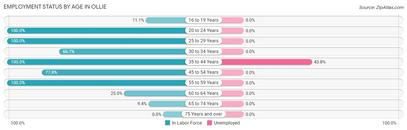 Employment Status by Age in Ollie