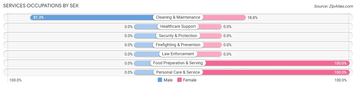 Services Occupations by Sex in Paton