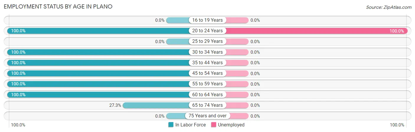 Employment Status by Age in Plano