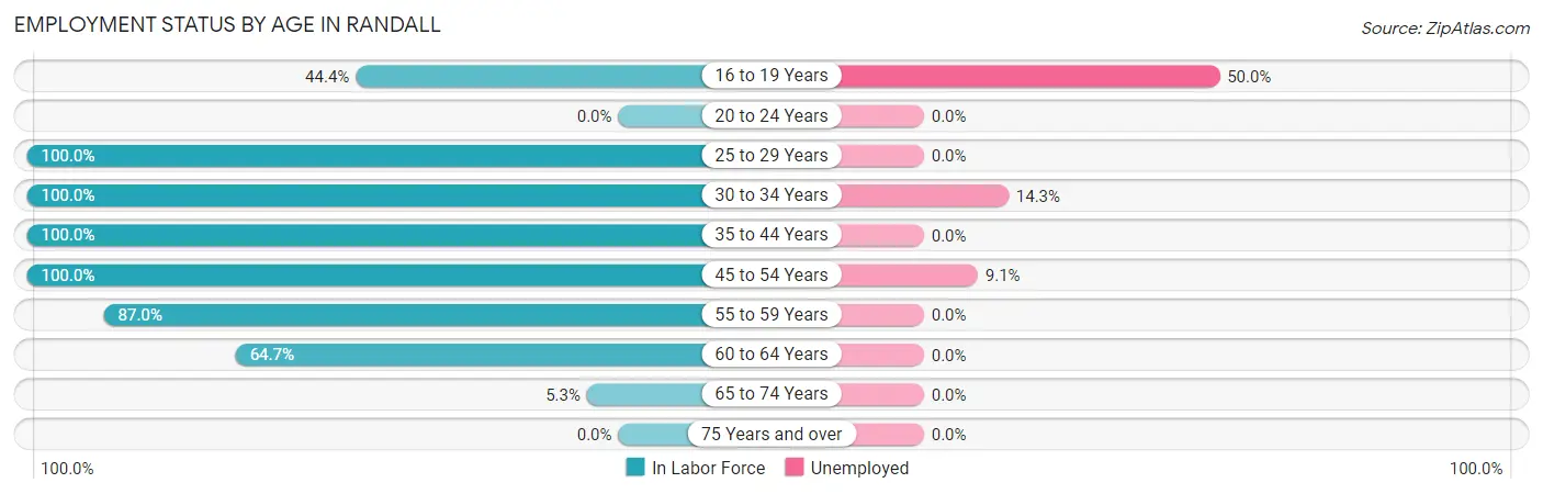 Employment Status by Age in Randall