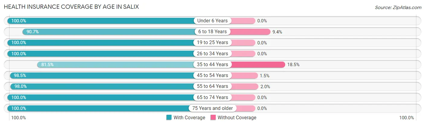 Health Insurance Coverage by Age in Salix