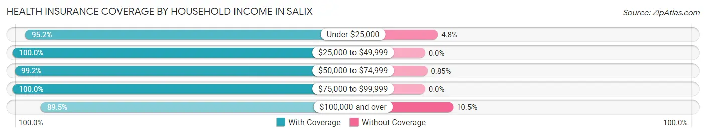 Health Insurance Coverage by Household Income in Salix
