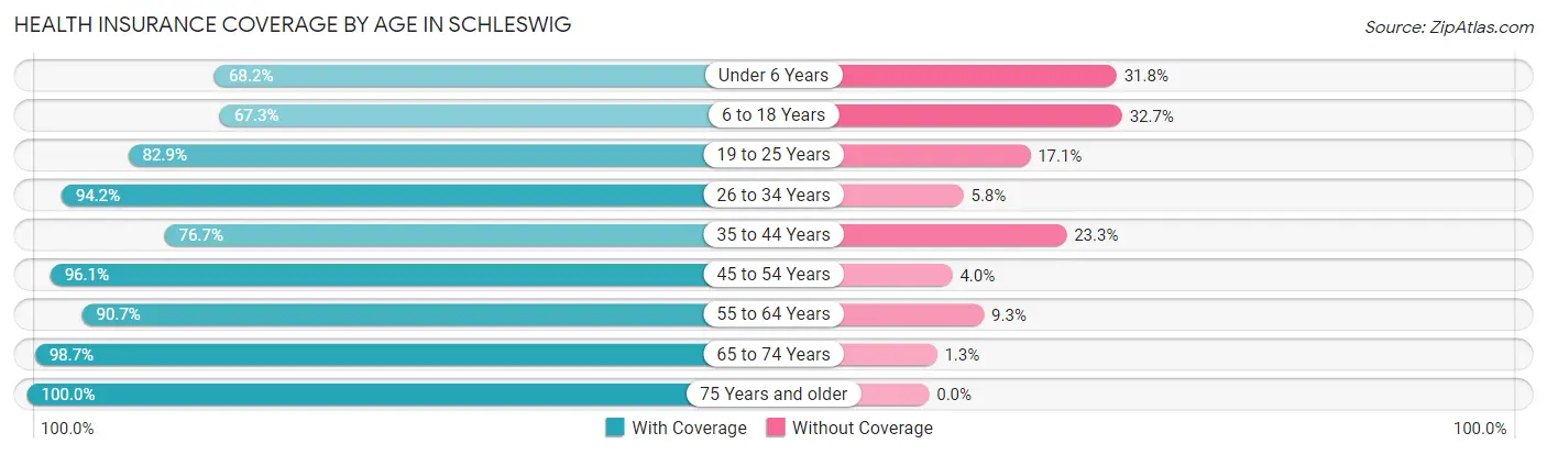 Health Insurance Coverage by Age in Schleswig