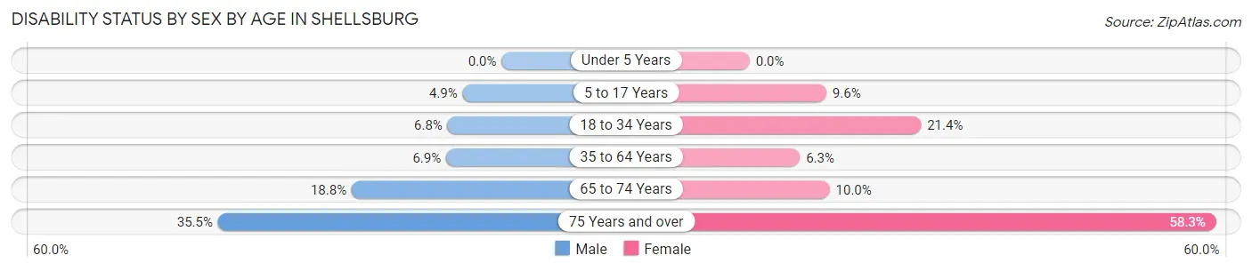 Disability Status by Sex by Age in Shellsburg
