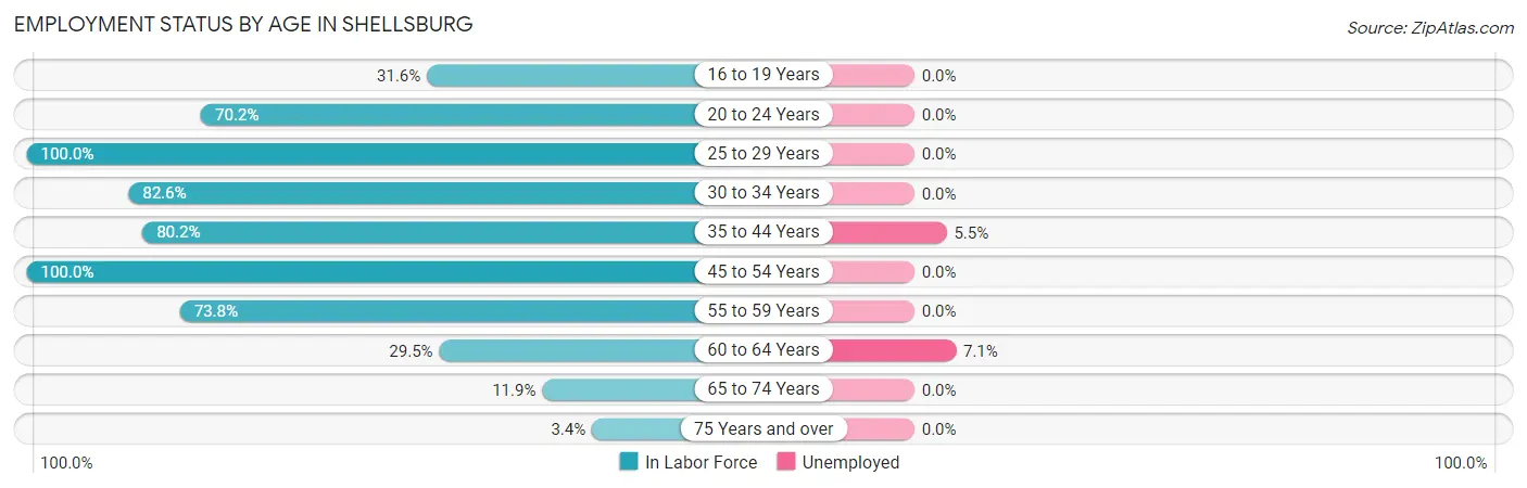 Employment Status by Age in Shellsburg