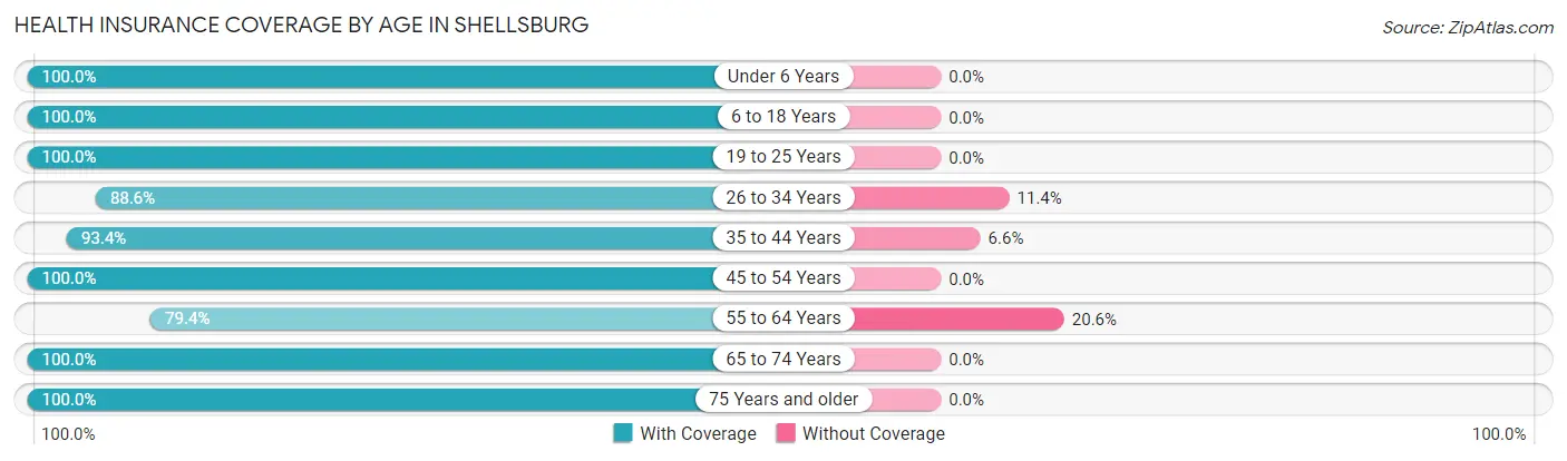 Health Insurance Coverage by Age in Shellsburg
