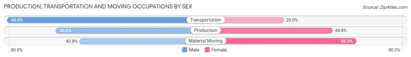 Production, Transportation and Moving Occupations by Sex in Shellsburg