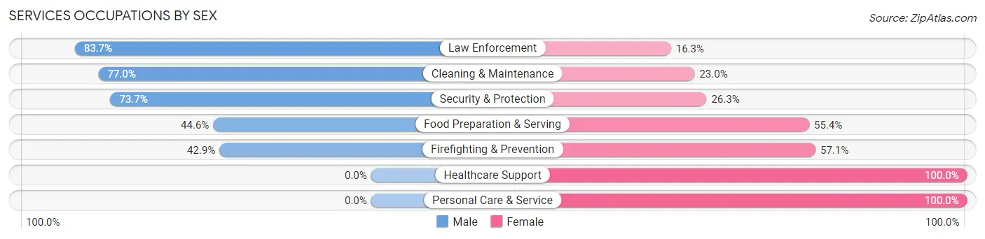 Services Occupations by Sex in Shenandoah