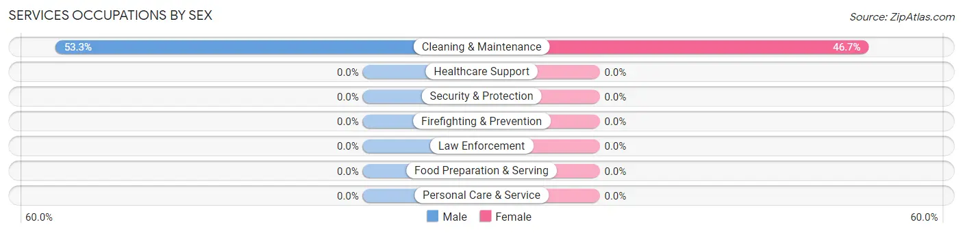 Services Occupations by Sex in Twin Lakes