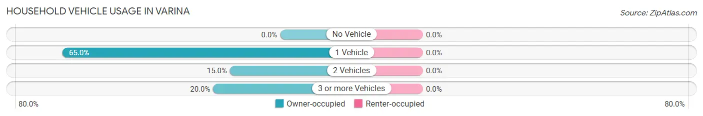 Household Vehicle Usage in Varina