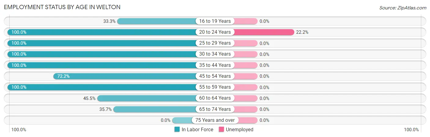 Employment Status by Age in Welton
