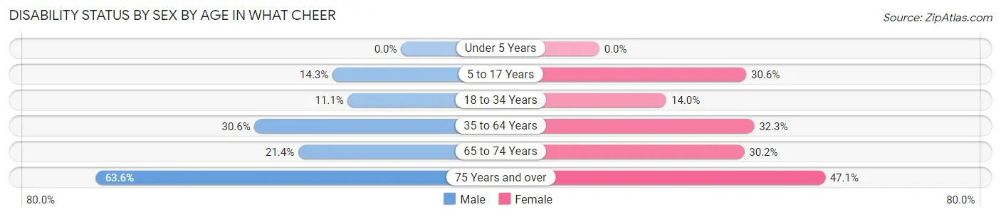 Disability Status by Sex by Age in What Cheer