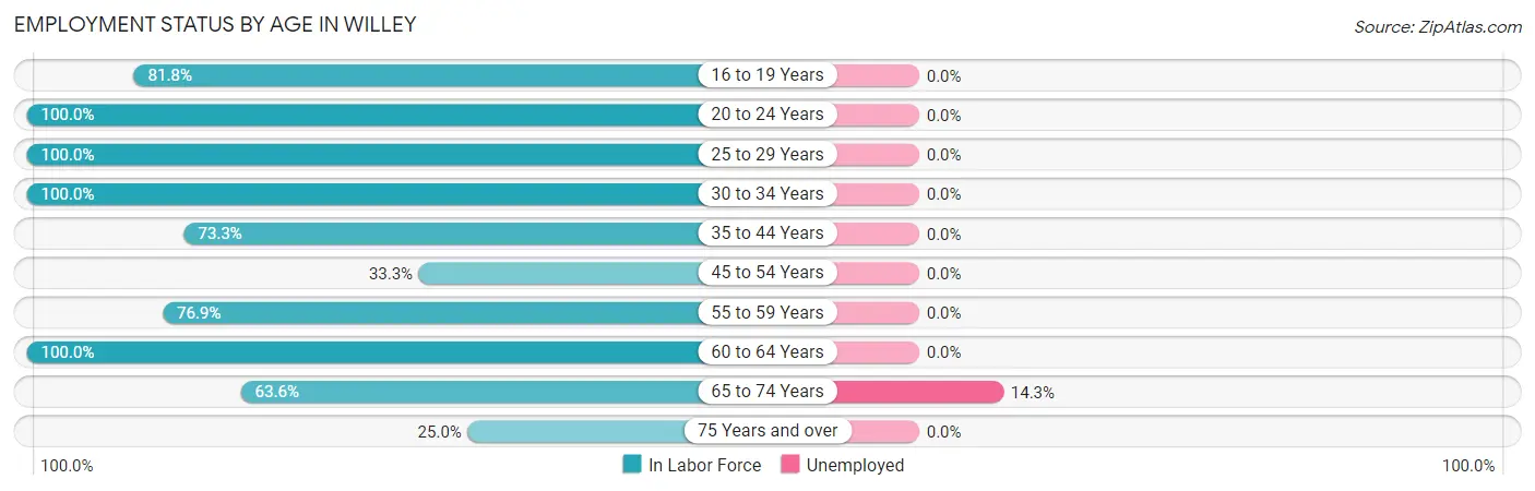 Employment Status by Age in Willey