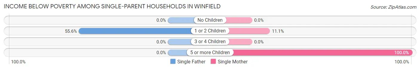 Income Below Poverty Among Single-Parent Households in Winfield