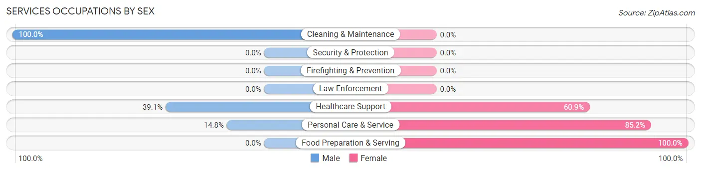 Services Occupations by Sex in American Falls