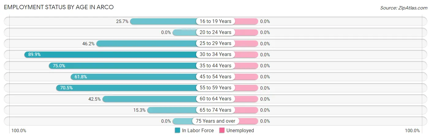 Employment Status by Age in Arco