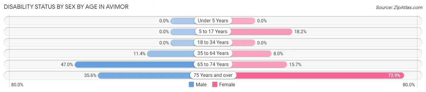 Disability Status by Sex by Age in Avimor