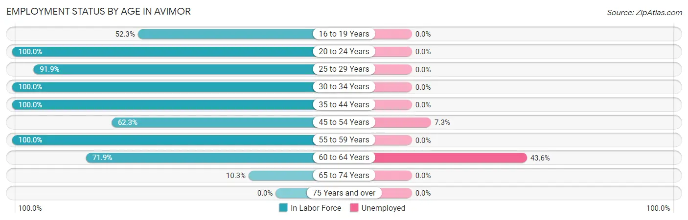 Employment Status by Age in Avimor