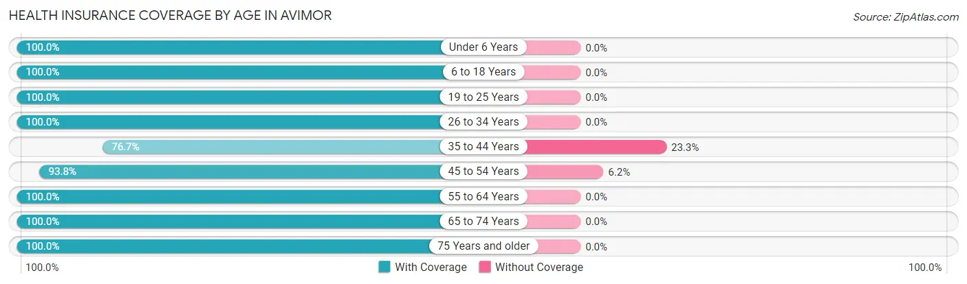 Health Insurance Coverage by Age in Avimor