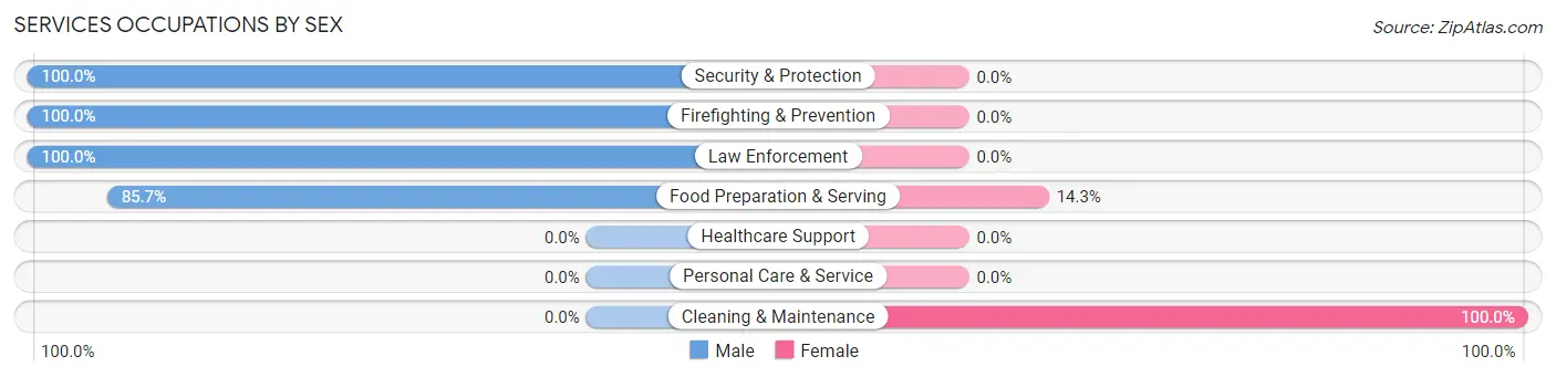 Services Occupations by Sex in Bancroft