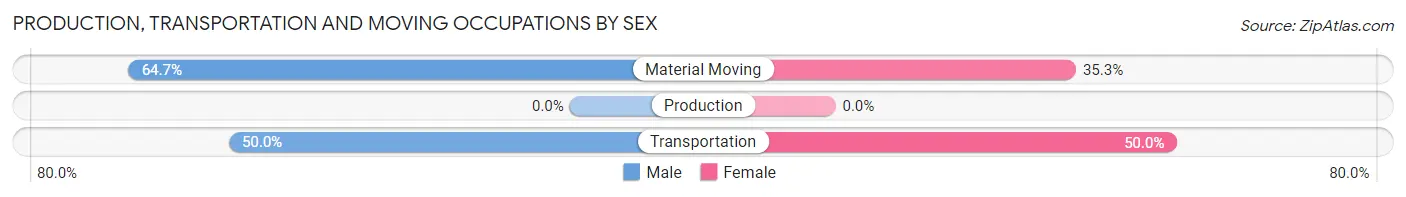 Production, Transportation and Moving Occupations by Sex in Bliss