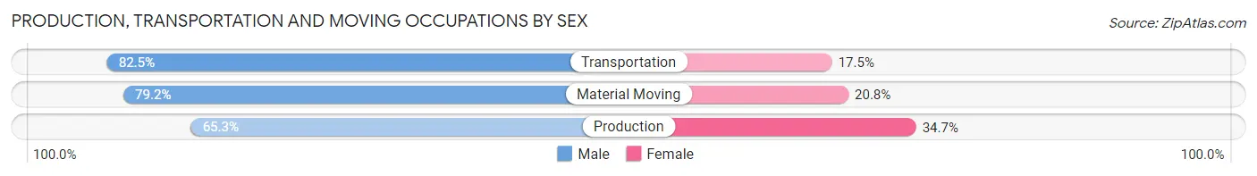 Production, Transportation and Moving Occupations by Sex in Boise City