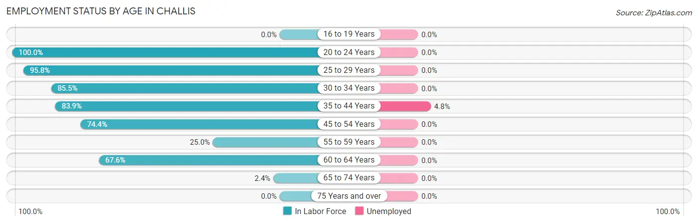 Employment Status by Age in Challis
