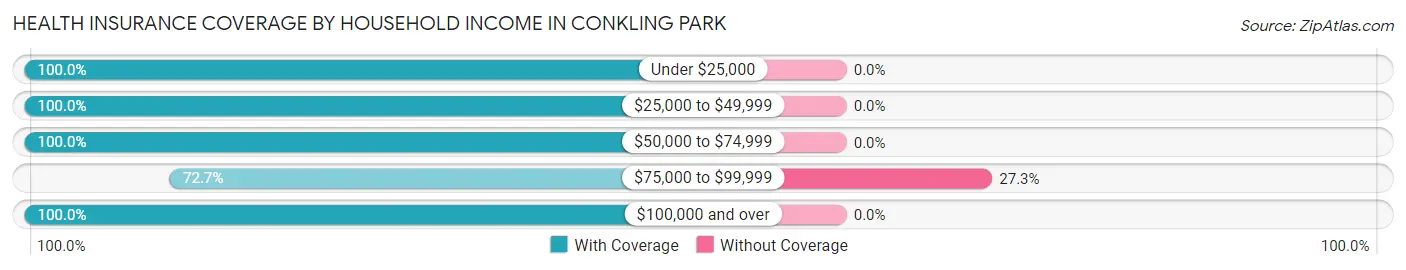 Health Insurance Coverage by Household Income in Conkling Park