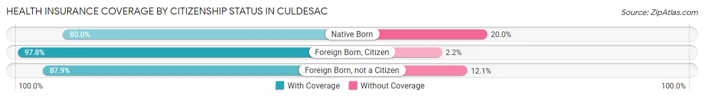 Health Insurance Coverage by Citizenship Status in Culdesac