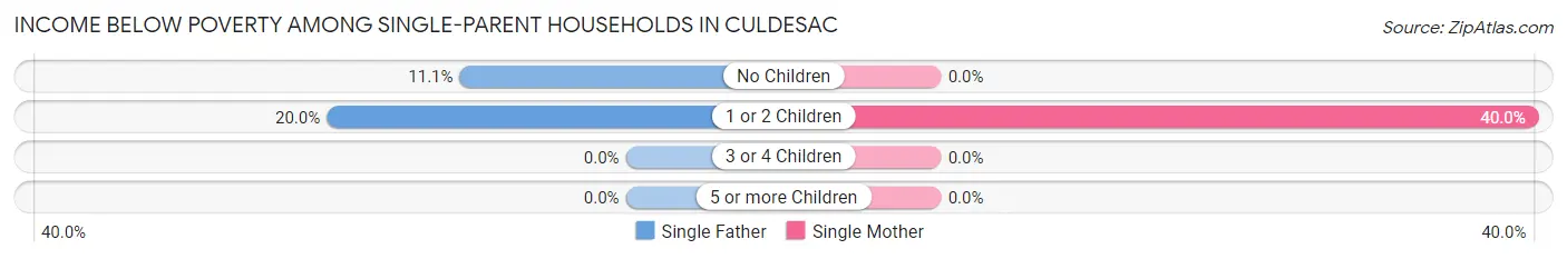 Income Below Poverty Among Single-Parent Households in Culdesac